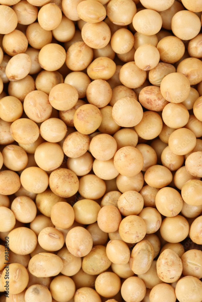 backbround of soybeans - food and drink backbround of soybeans - food and drink