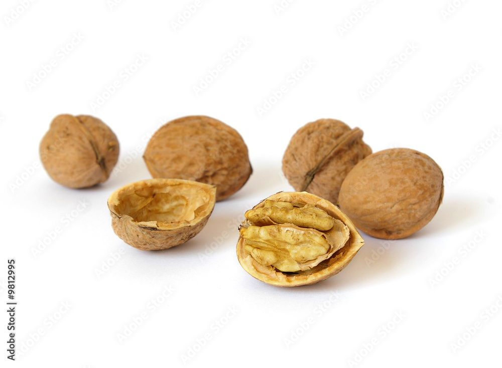 Fresh walnut isolated on a white background Fresh walnut isolated on a white background