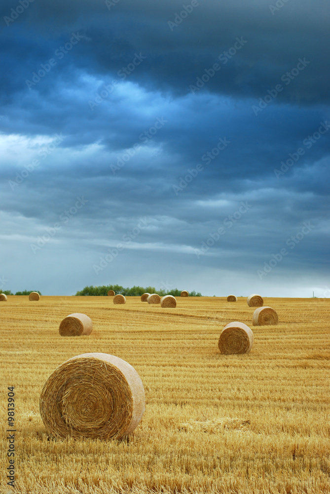 Hay Bales in Field with Stormy Sky