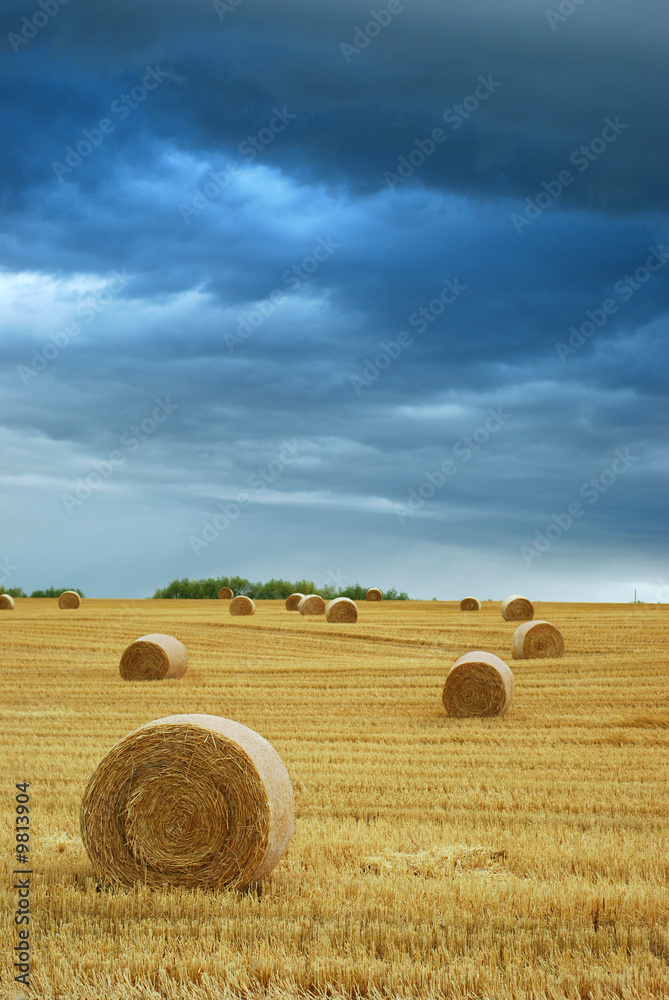 Fototapeta premium Hay Bales in Field with Stormy Sky
