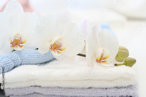 White towels in a bath room with orchd around