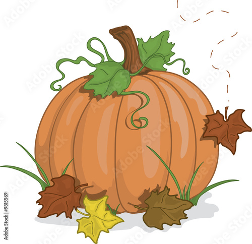 Fall Pumpkin