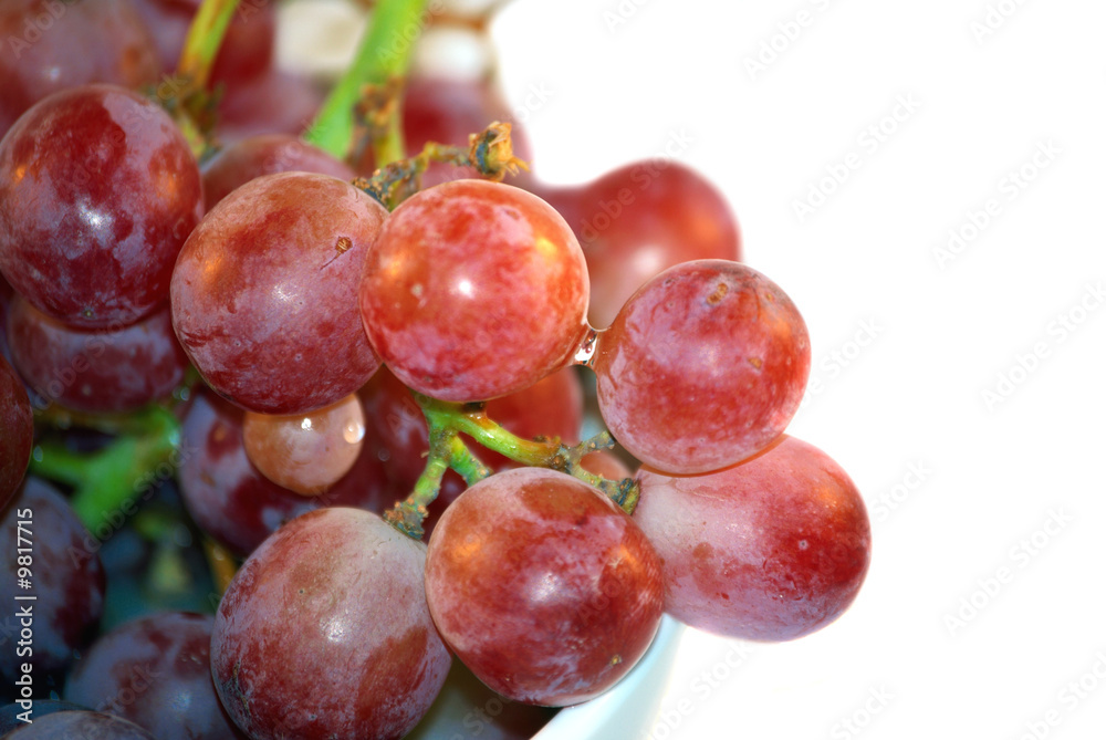 Grape's berry Grape's berry