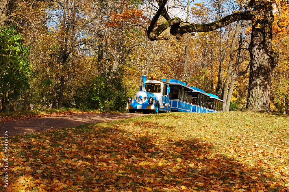 Obraz premium An autumn sun day is in a park.