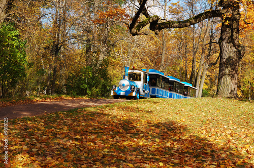 An autumn sun day is in a park.