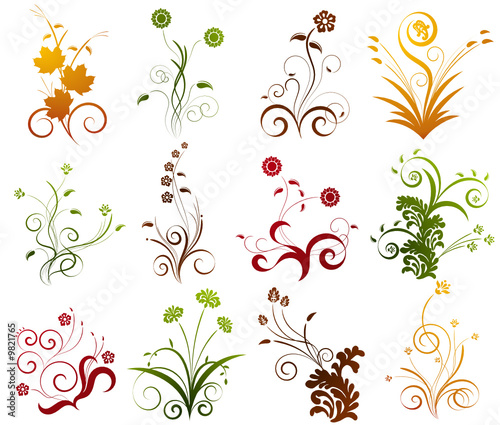 Curled colored vector floral elements for design