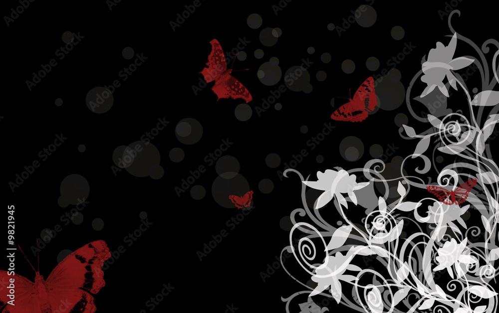 Roses blanches sur fond noir et papillons rouges