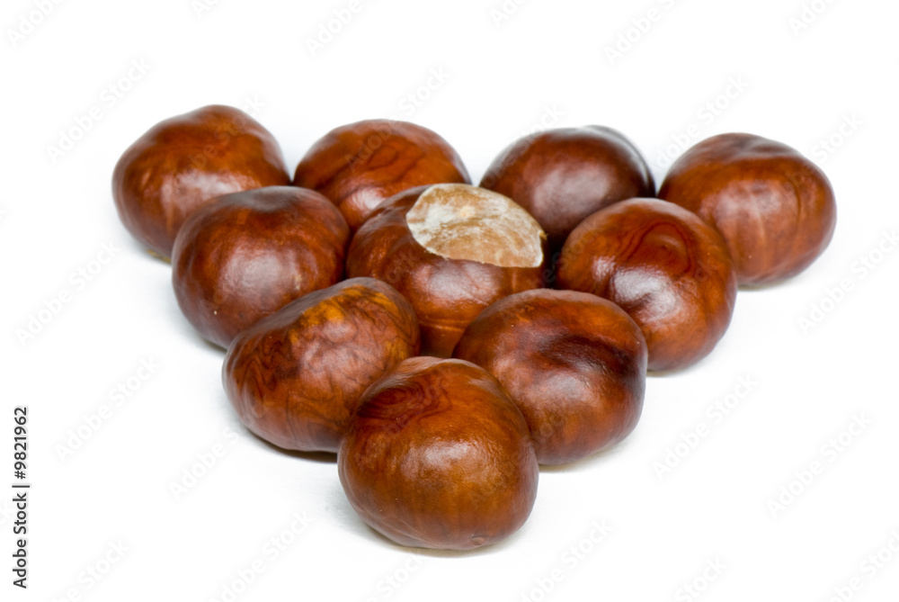 a few brown chestnuts are on a white background a few brown chestnuts are on a white background