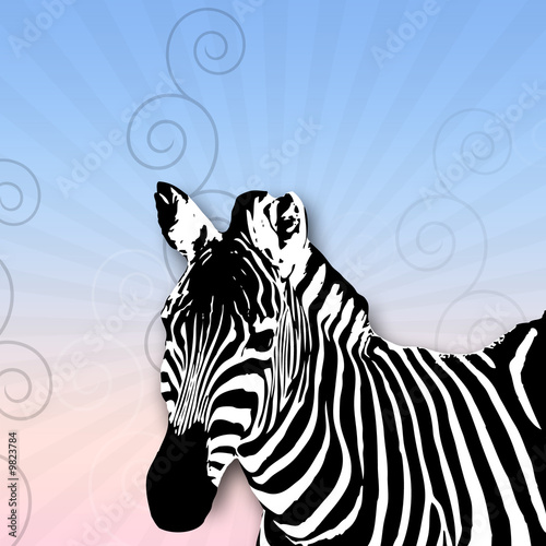 Zebra Illustration mit blauen Hintergund