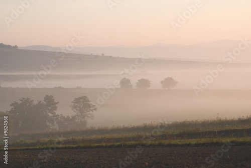 Fototapeta Naklejka Na Ścianę i Meble -  Morning landscape with tree and fog