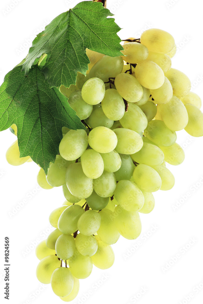 Obraz premium Fresh Vegetables, Fruits and other foodstuffs. Shot in a studio.