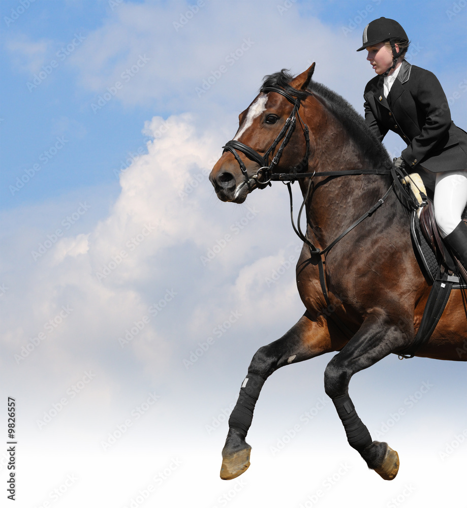 Obraz premium show jumping - woman and bay horse