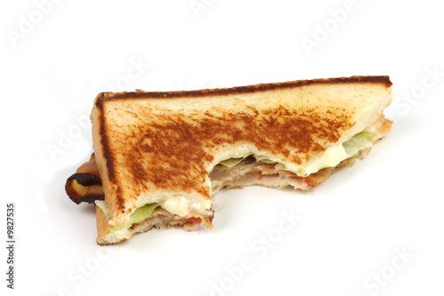 Half eaten toasted sandwich 21MP