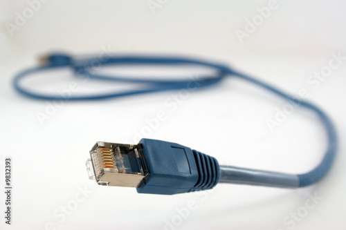 blue network cable conector close-up