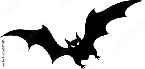 the bat