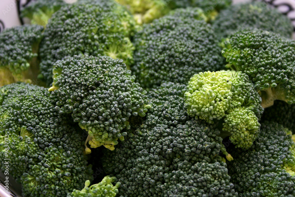 broccoli broccoli