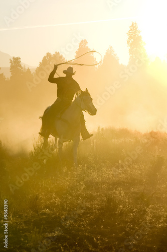 Slika na platnu Cowboy silhouette galloping and roping through the desert