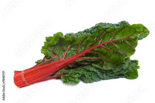 Red Stalk Silverbeet isolated over white background