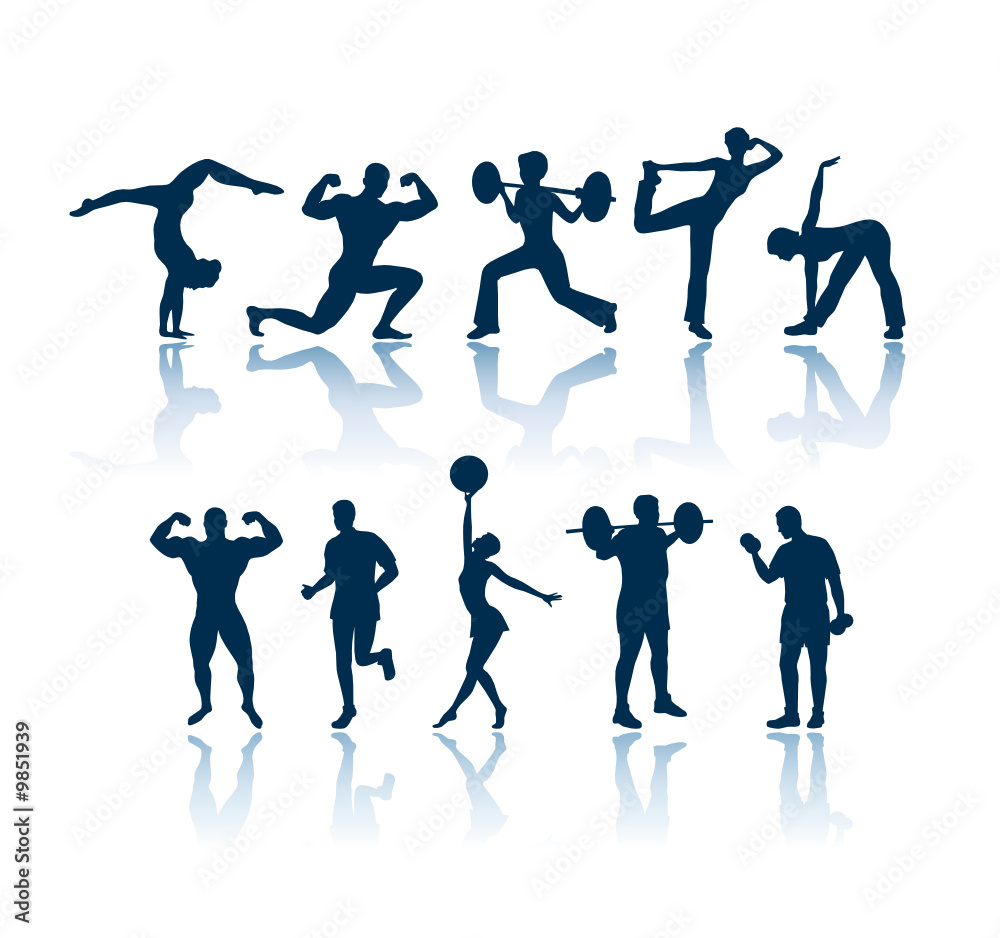 Fitness vector silhouettes