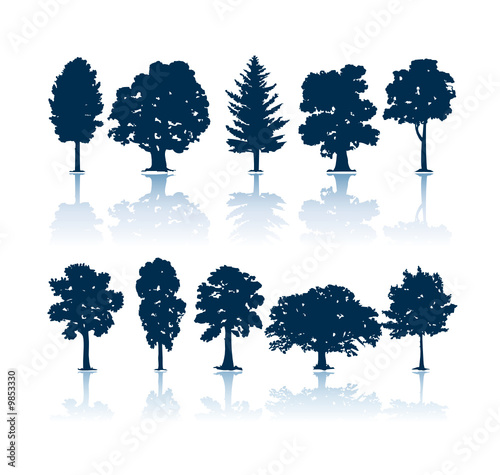 Trees silhouettes