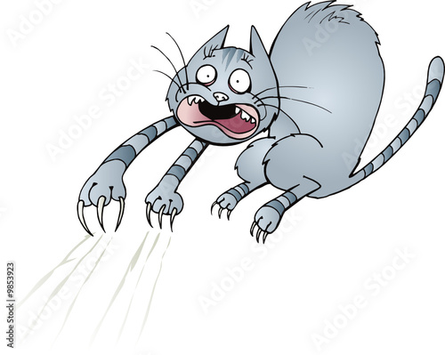 cat panic