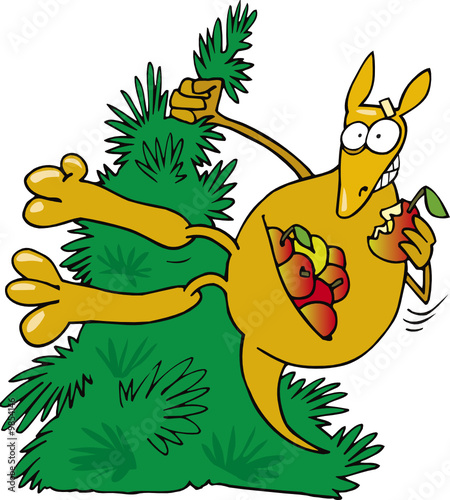 crazy kangaroo