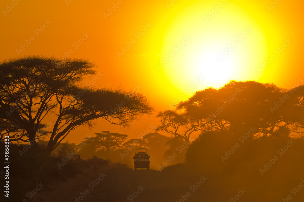 Fototapeta premium safari jeep driving through savannah in the sunset