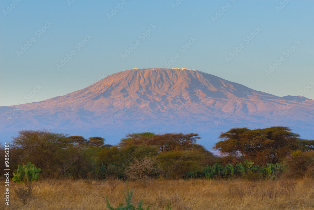 Naklejka premium kilimanjaro góra w wschodzie słońca