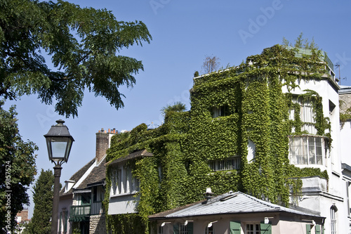 La campagne à Paris - Montmartre