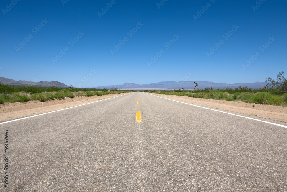 Scenic road in the Mojave park at summer day