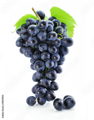 cluster of blue grape isolated on white background