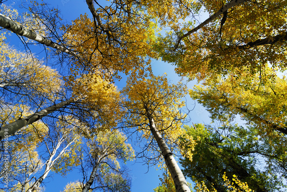 Autumn Foliage at Tumwater Canyon near Leavenworth, WA Autumn Foliage at Tumwater Canyon near Leavenworth, WA