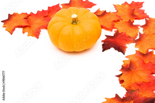 Fall leaves with orange gourd on white background, fall border