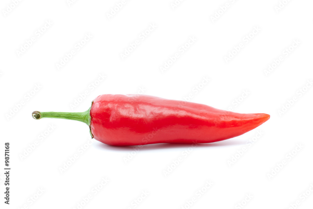 SIngle red chili pepper isolated on the white background SIngle red chili pepper isolated on the white background