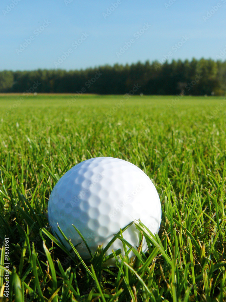 Obraz premium Golfball im Gras