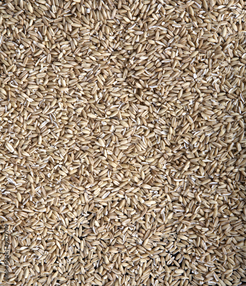 Seeds Seeds