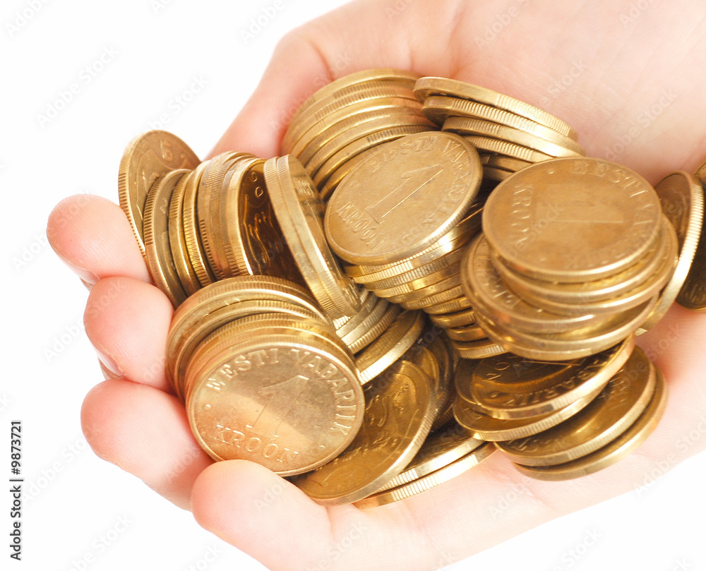 Fototapeta premium Hand with coins