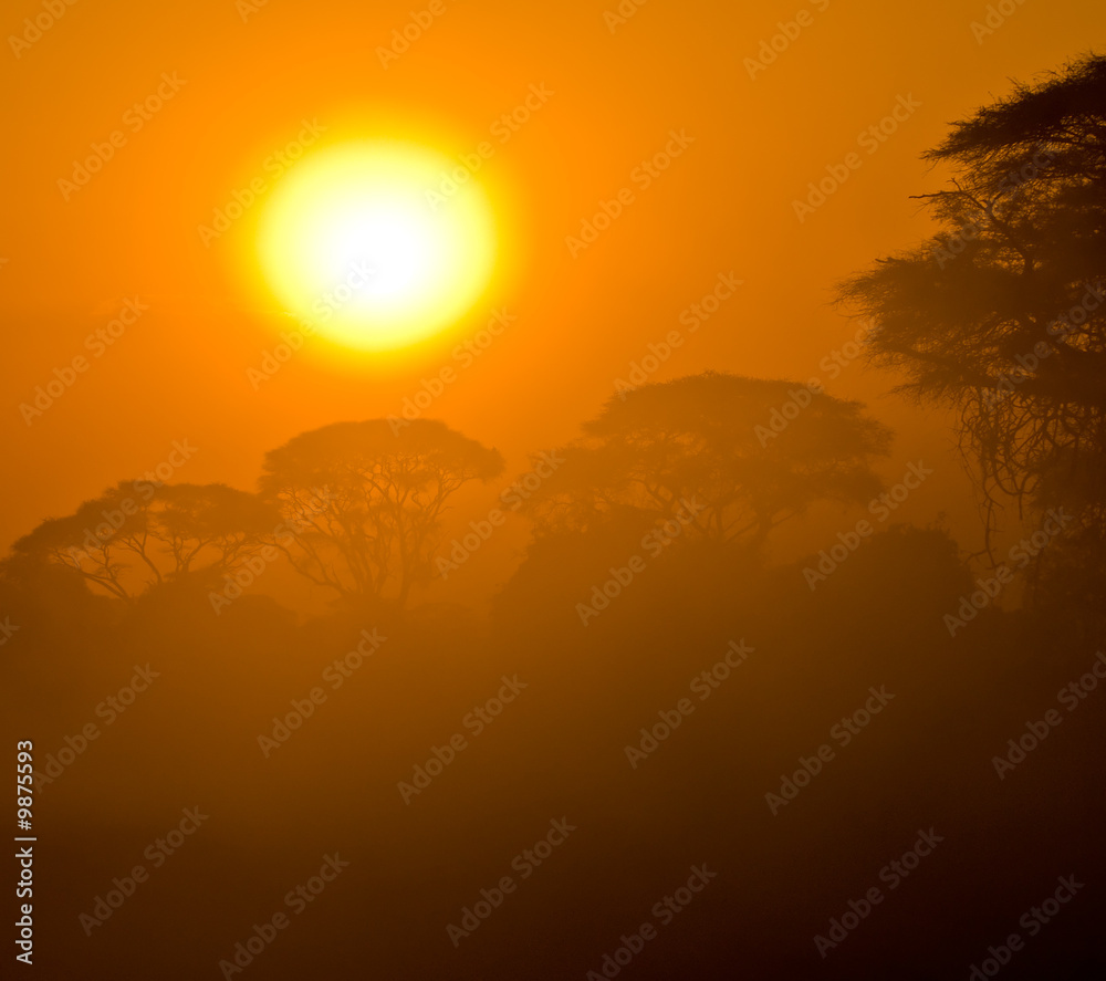 african sunset in savannah, kenya