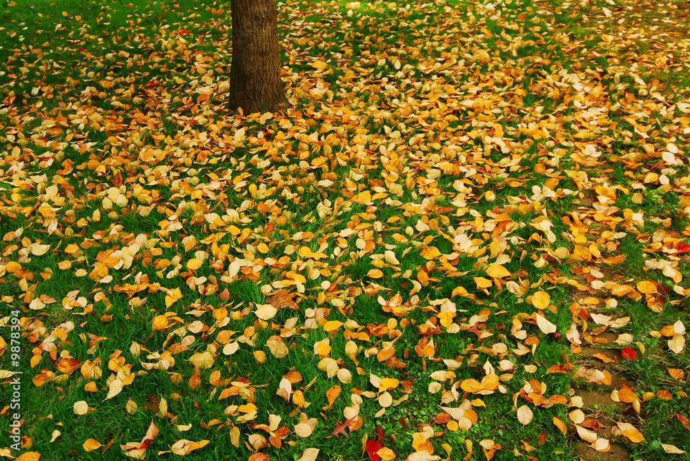 Herbst Herbst
