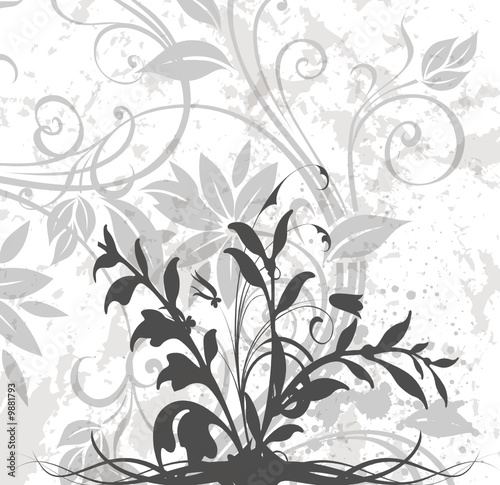 floral grise racine