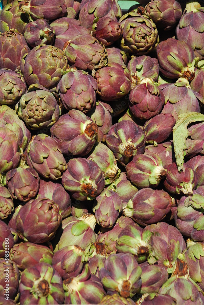 Obraz premium Artichokes