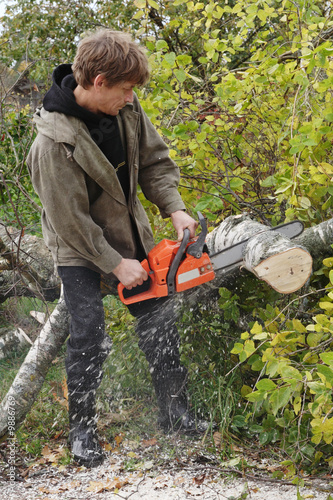 Men with chainsaw cutting tree