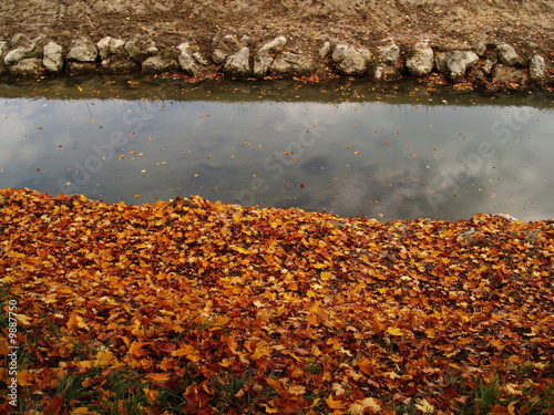 berges colorées photo