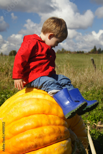 Sitting on a Pumpkin