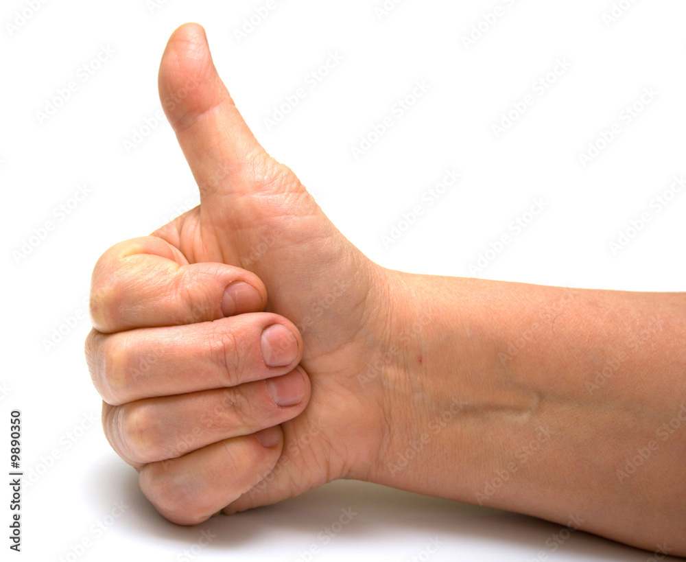 female hand on a white background. Isolation female hand on a white background. Isolation