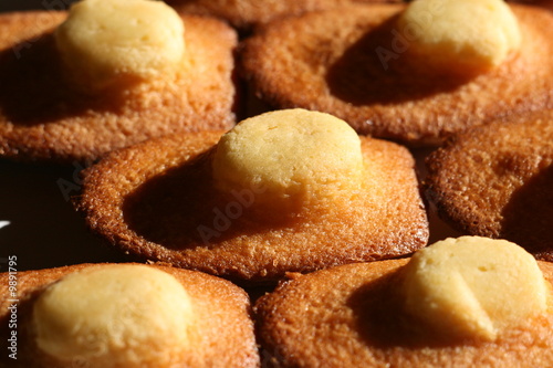 Photos madeleine, madeleines, proust, biscuit, déssert, dessert