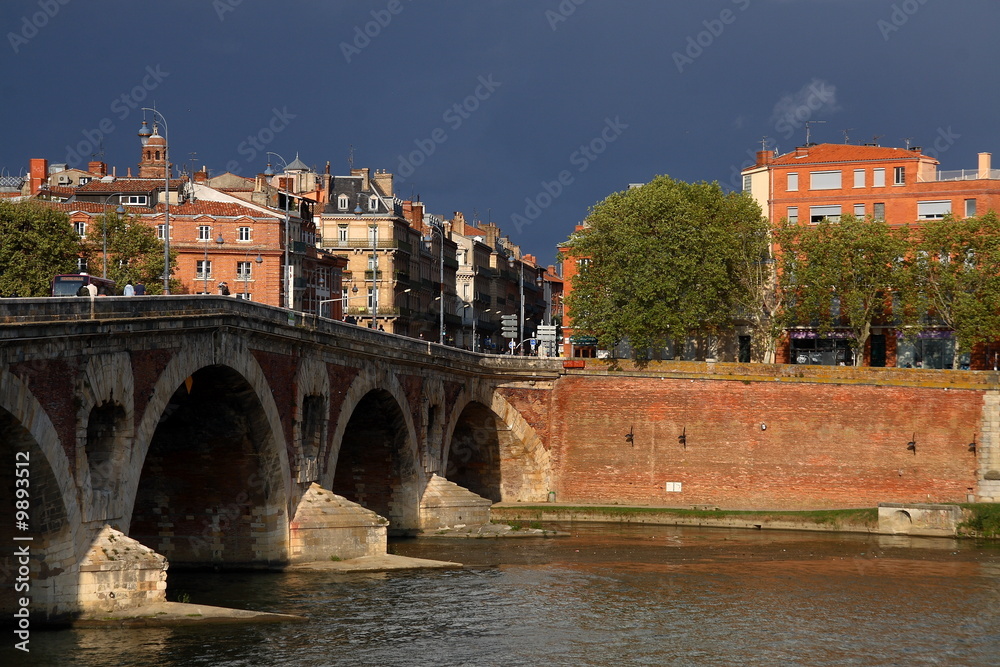 Obraz premium Le pont neuf de Toulouse