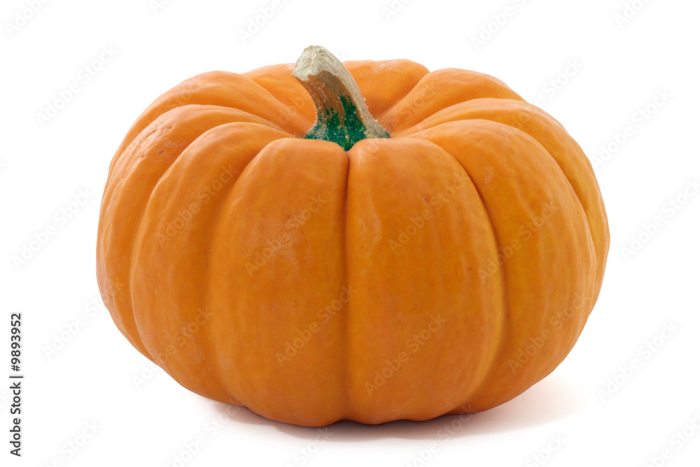 Obraz premium Pumpkin isolated.