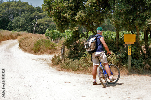 Sur l'île de Porquerolles