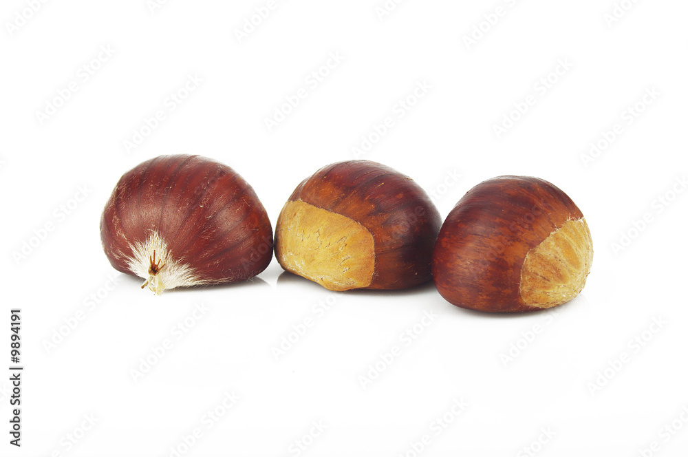 Fototapeta premium Castagne 24